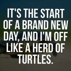 Meet your Posher, Lloyd